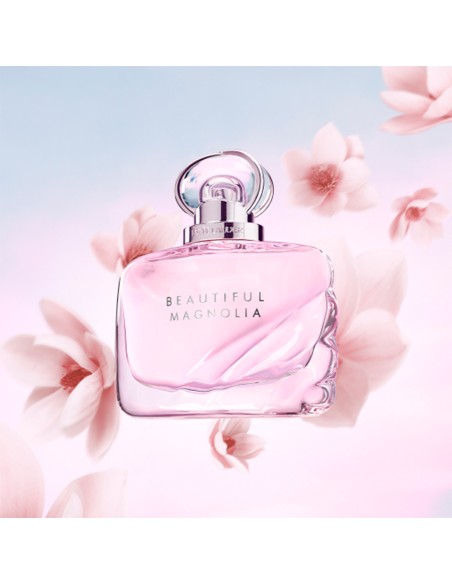 Beautiful Magnolia