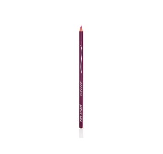 Lápiz de Labios Color Icon