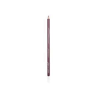 Lápiz de Labios Color Icon 2