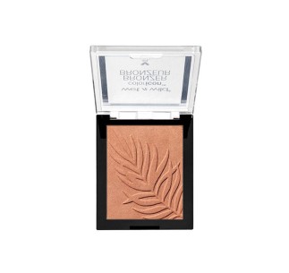 Bronceador Color Icon 2