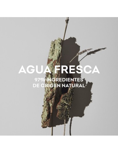 Agua Fresca