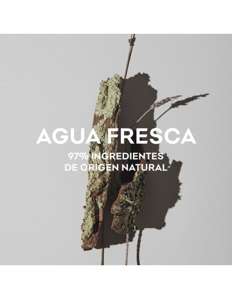 Agua Fresca