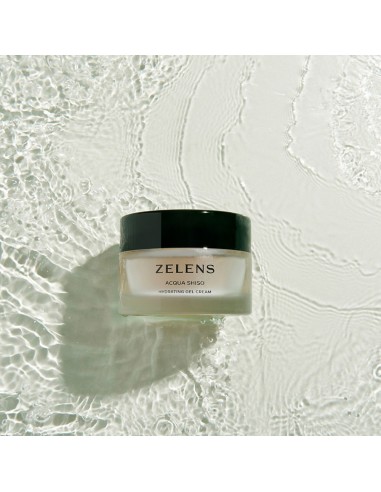 Acqua Shiso Hydrating Gel Cream