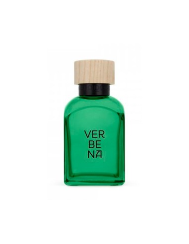 Verbena Hombre