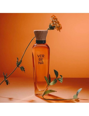 Verbena Mujer
