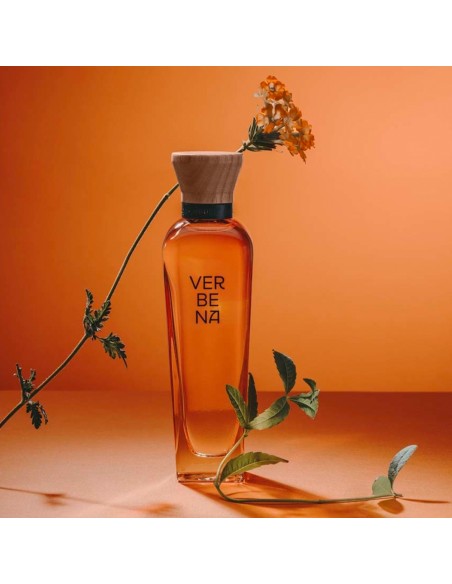 Verbena Mujer