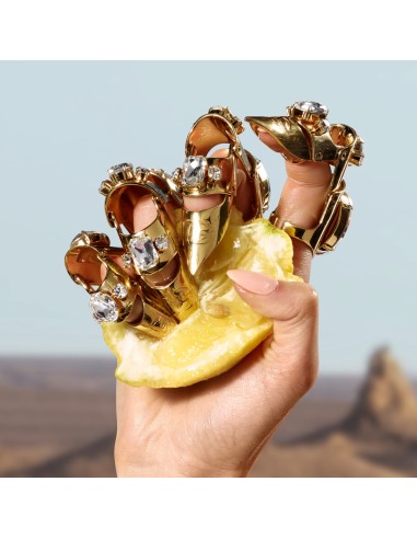 Q by Dolce&Gabbana