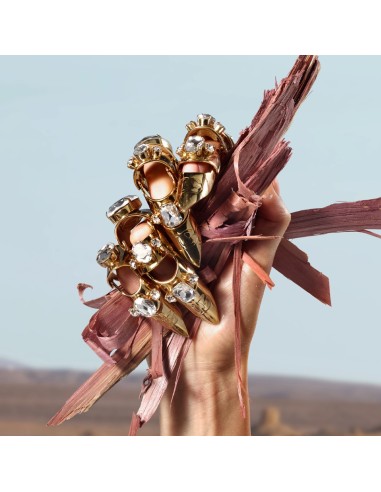 Q by Dolce&Gabbana