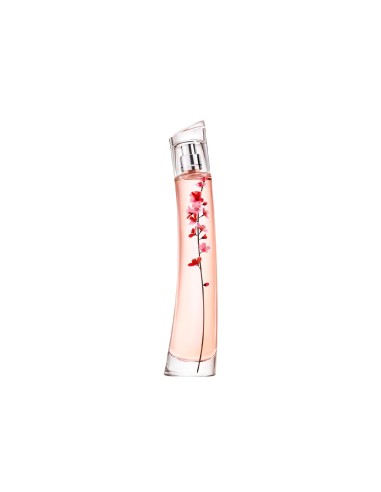 Flower Ikebana By Kenzo