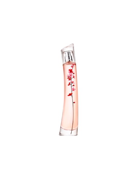Flower Ikebana By Kenzo