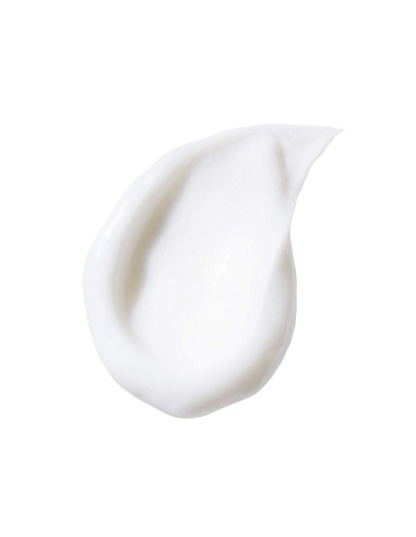Curvaceous Curl Refiner