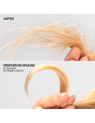 Acondicionador Extreme Length