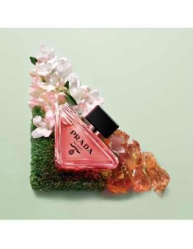 Paradoxe Intense