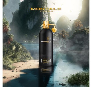 Oud Island 2