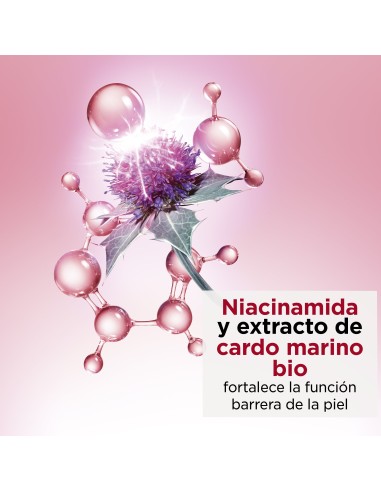 Multi-Activa Noche TP
