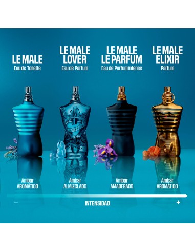Le Male Lover