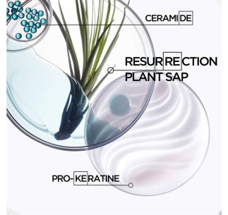 Champú Bain Force... 2