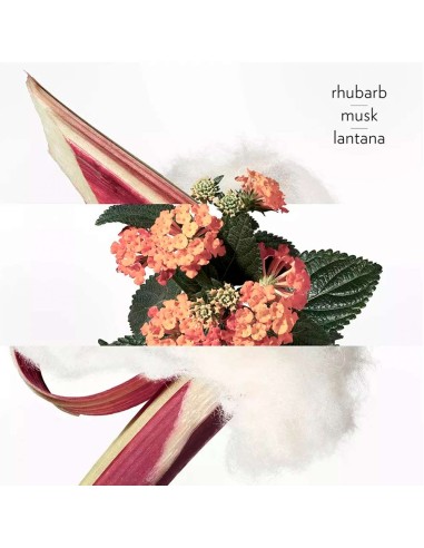 Eau Rhubarbe Écarlate