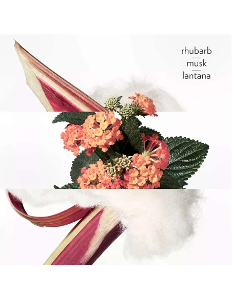 Eau Rhubarbe Écarlate