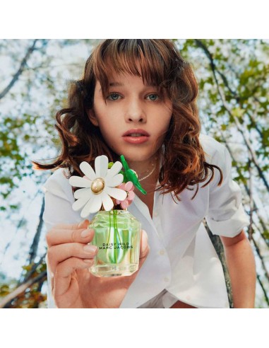 Daisy Wild