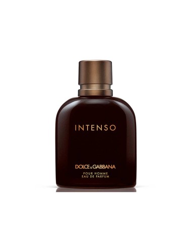Dolce&Gabbana Pour Homme Intense