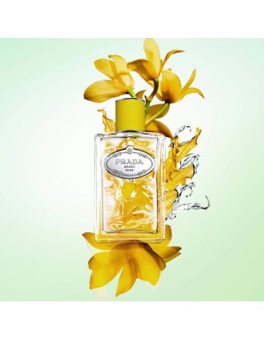 Infusion D'Ylang