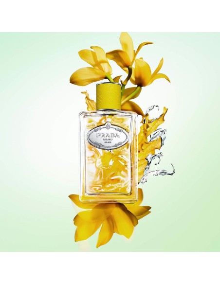 Infusion D'Ylang