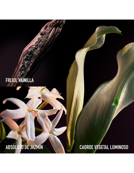 Olympéa Parfum