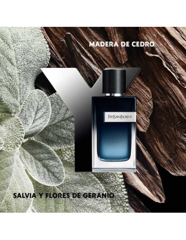 Recarga Y EDP