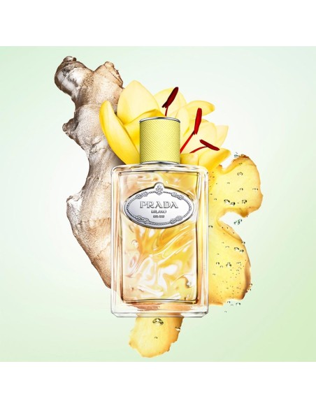 Infusion de Gingembre