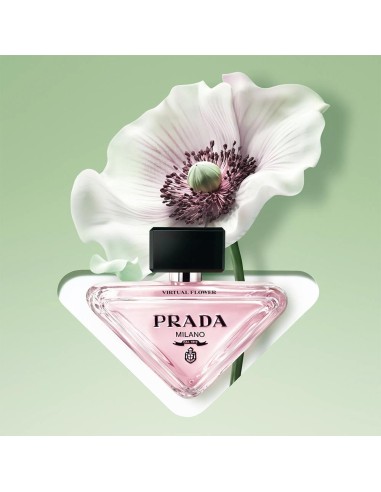 Paradoxe Virtual Flower