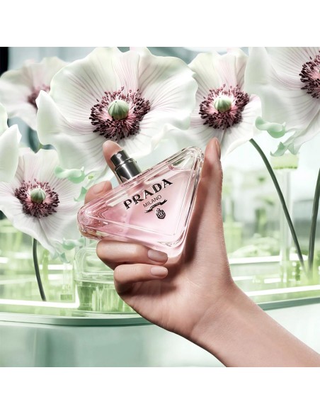 Paradoxe Virtual Flower