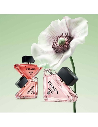 Paradoxe Virtual Flower