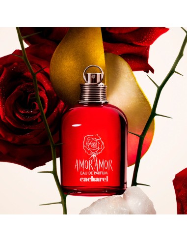 Amor Amor EDP