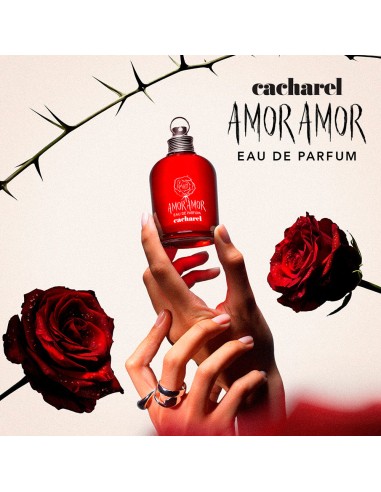 Amor Amor EDP