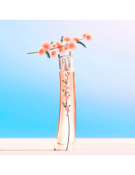 Flower Ikebana Mimosa By Kenzo