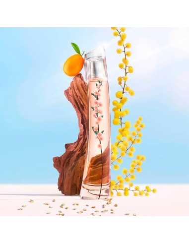 Flower Ikebana Mimosa By Kenzo