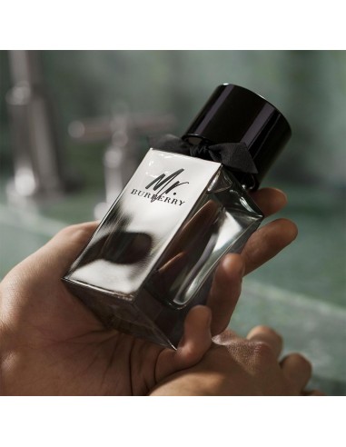 Mr Burberry EDT