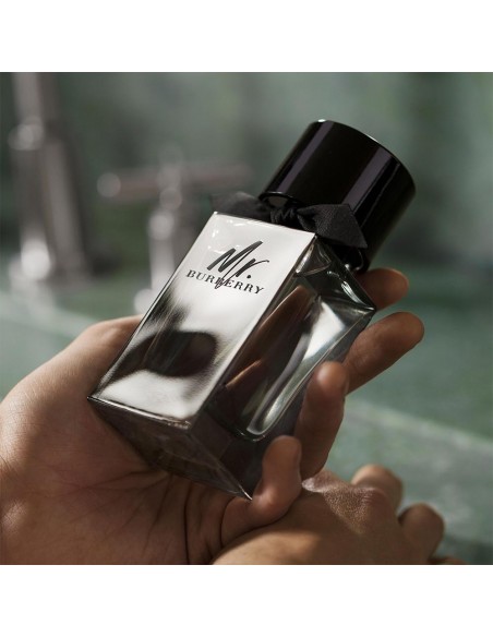 Mr Burberry EDT