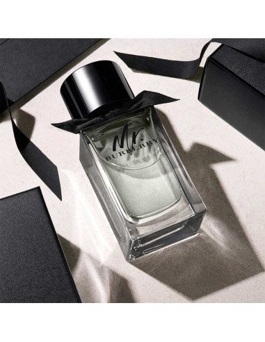 Mr Burberry EDT