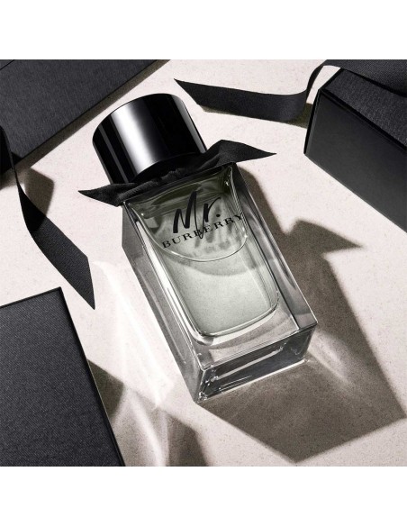 Mr Burberry EDT