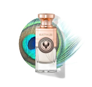 Aurora 2