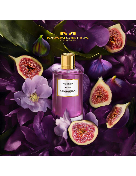 Fig Me Up