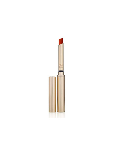 Pure Color Explicit Matte Lipstick