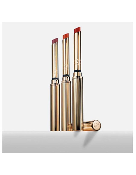 Pure Color Explicit Matte Lipstick