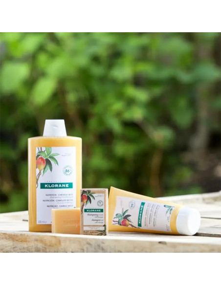 Acondicionador de Mango