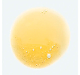 Champú de Mango 2