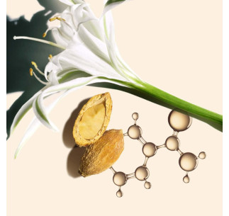 Nutri-Lumière Día SPF 50 2