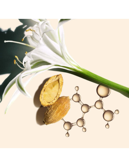 Nutri-Lumière Día SPF 50