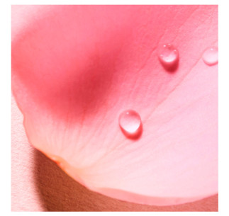 Very Rose Agua Voluptuosa... 2